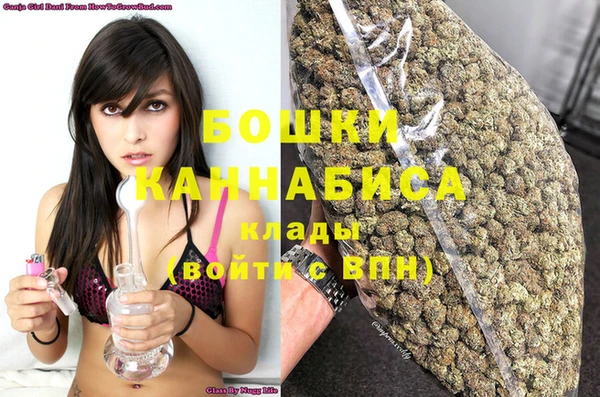 гашик Вязьма