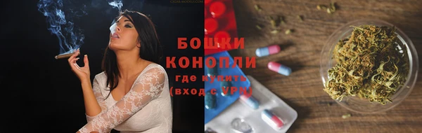 гашик Вязьма