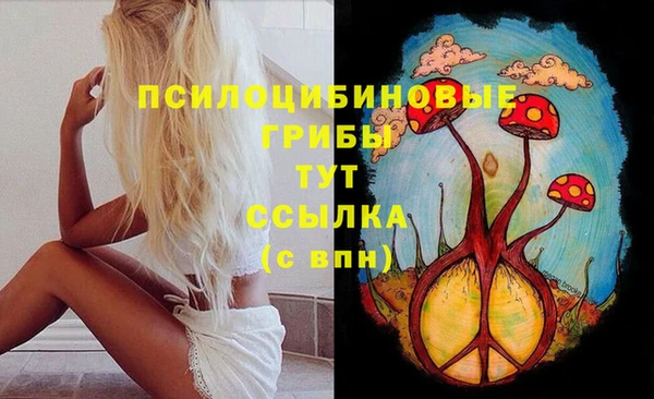 гашик Вязьма