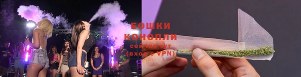гашик Вязьма
