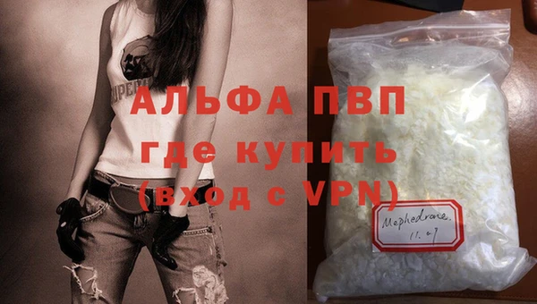 гашик Вязьма
