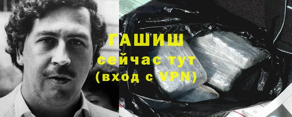 гашик Вязьма